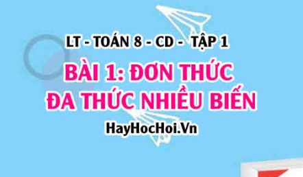 Khái niệm đơn thức, đa thức nhiều biến, đơn thức thu gọn, đa thức thu gọn? Toán 8 bài 1 [b1c1cd1]